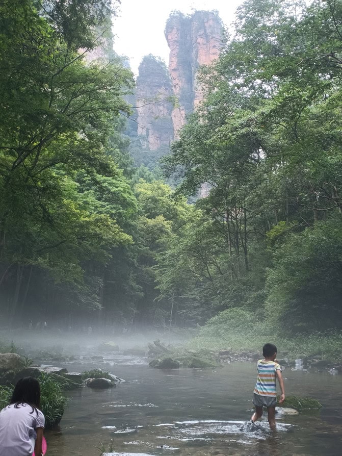张家界国家森林公园的壮丽山峰和茂密森林.