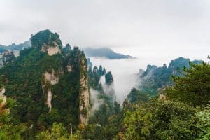云端漫步张家界奇幻景色,绿意盎然的山峰在云雾中若隐若现,宛如仙境般的自然奇观。.