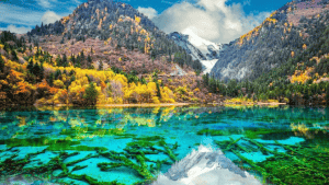 九寨沟五花海彩池风光,四川九寨沟风景区著名景点